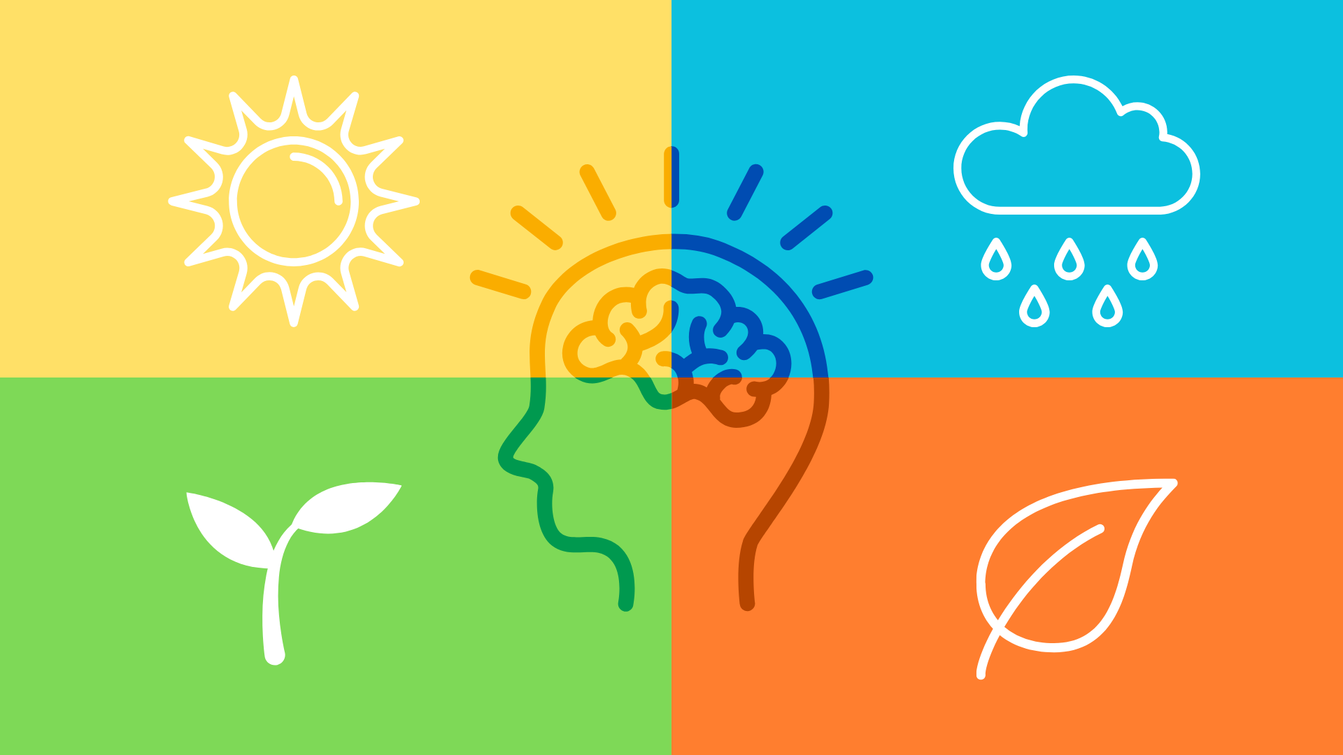 Seasonal-Affective-disorder-image-with-brainsplit1