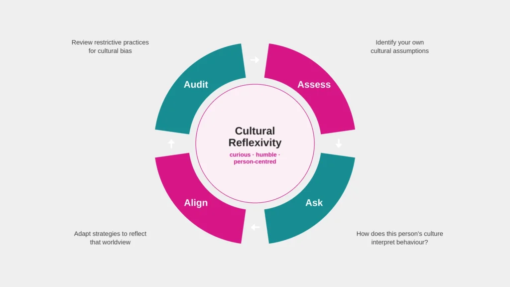 cultural_reflexivity