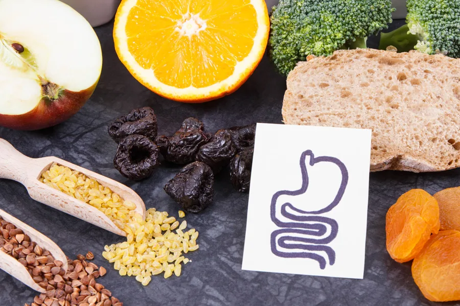 High-fibre foods including fruit, prunes, grains and wholegrain bread beside a drawing of the gut