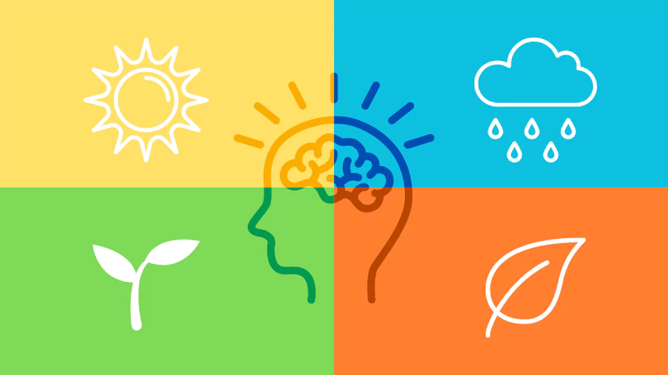 seasonal-affective-disorder-image-with-brainsplit3